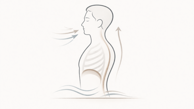 横向きの上半身と呼吸の流れを示す図